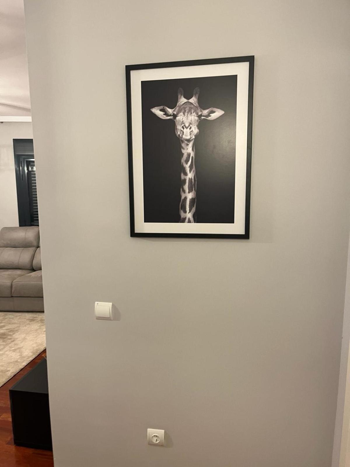 Sweet Dreams Ebora Apartment Talavera de la Reina Ngoại thất bức ảnh